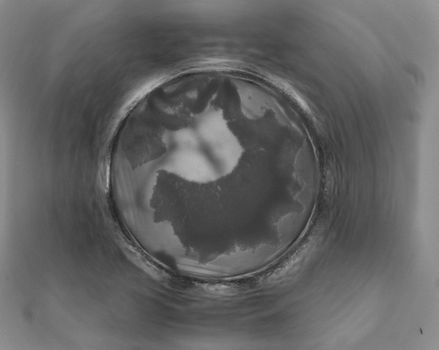 X0000111841413200908061244