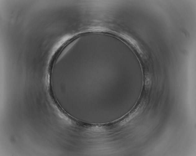 X0000111841414200908061244