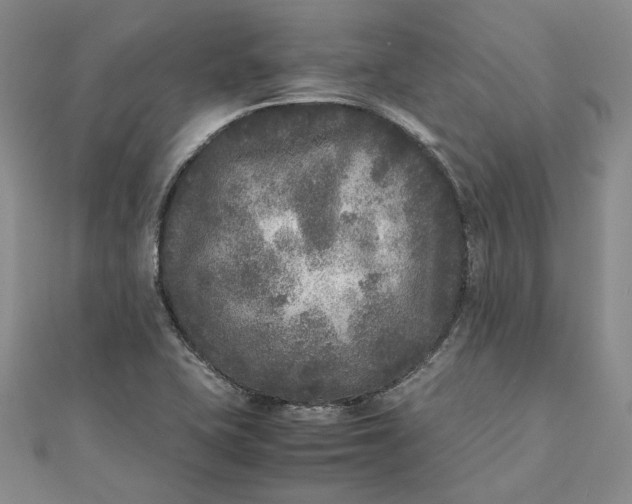 X0000111841415200908061244