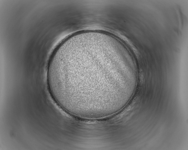 X0000111841416200908061244