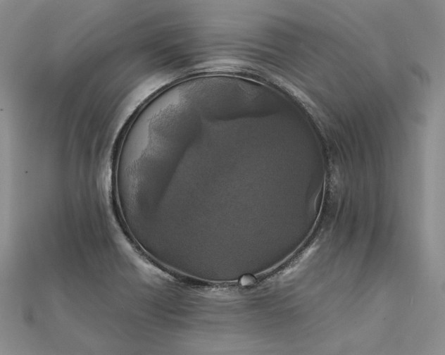 X0000111841418200908061244