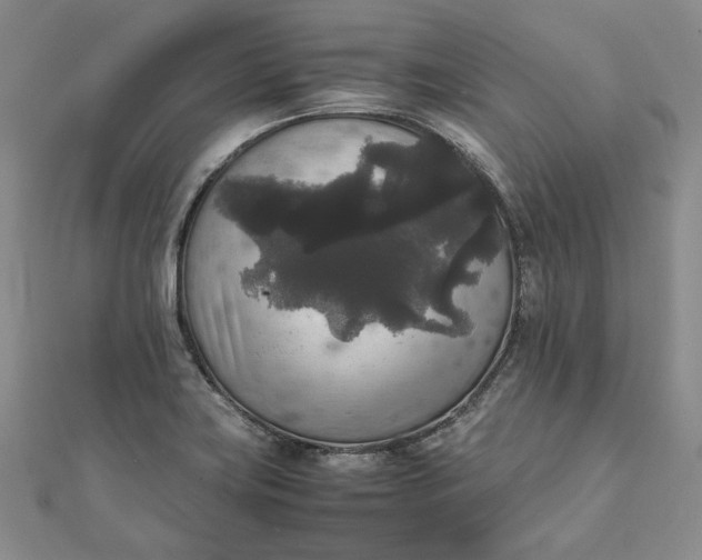 X0000111841419200908061244