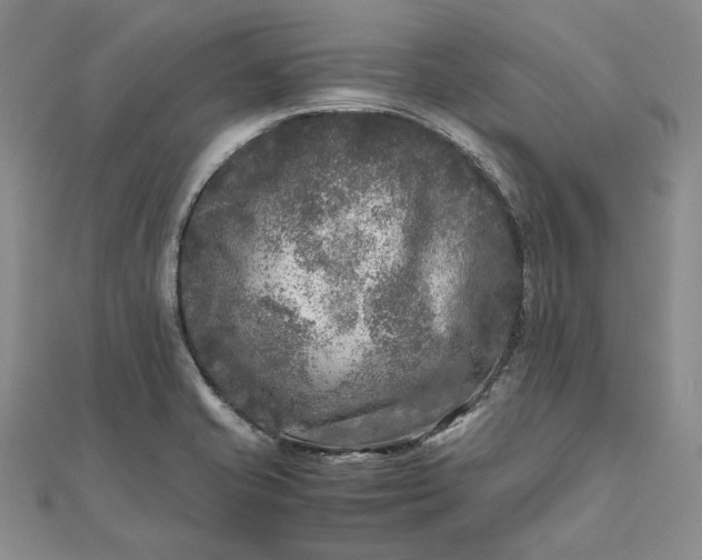 X0000111841421200908061244