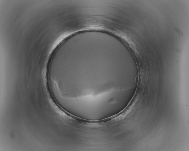 X0000111841422200908061244