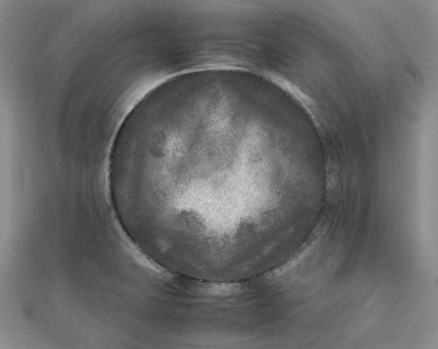 X0000111841423200908061244