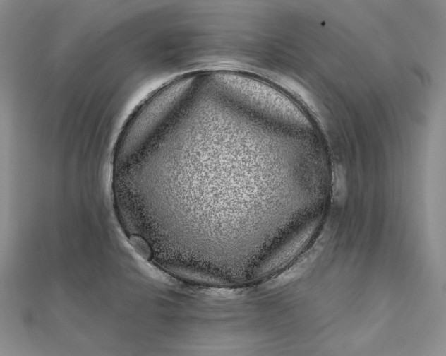 X0000111841424200908061244