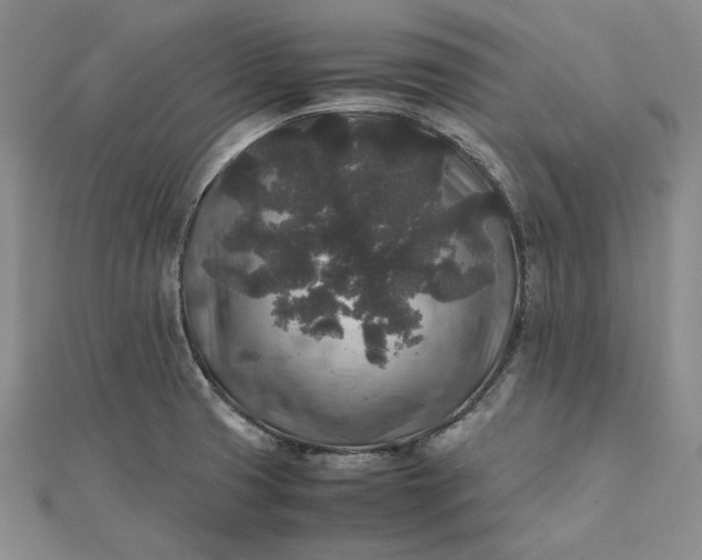 X0000111841425200908061244