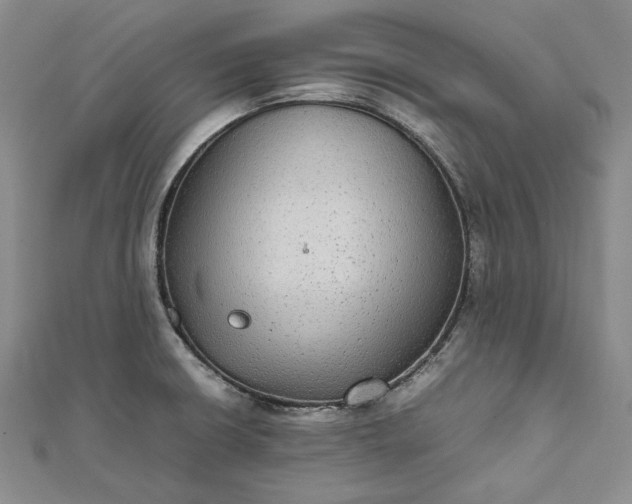 X0000111841426200908061244