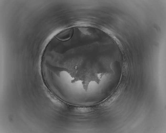 X0000111841427200908061244