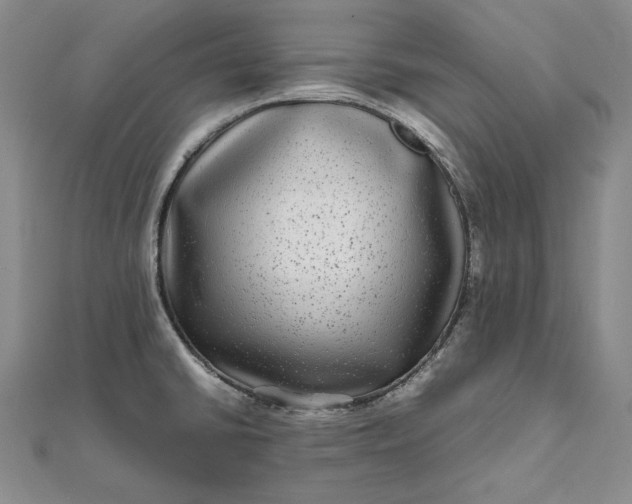 X0000111841430200908061244