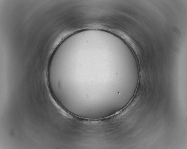 X0000111841432200908061244