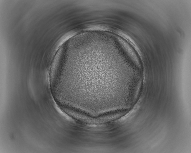 X0000111841433200908061244