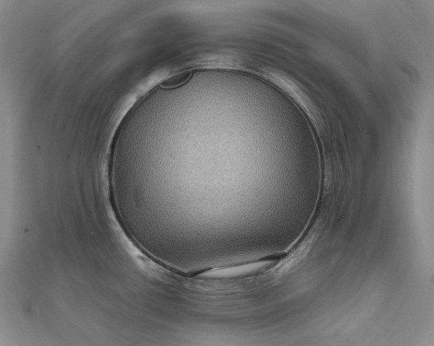 X0000111841434200908061244