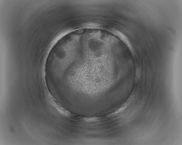 X0000111841435200908061244