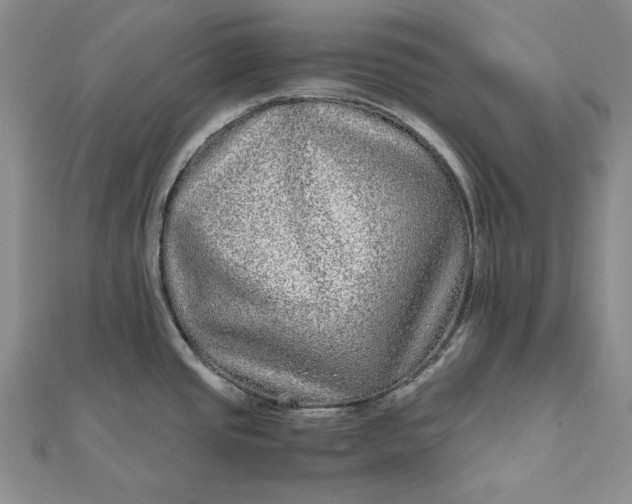 X0000111841437200908061244