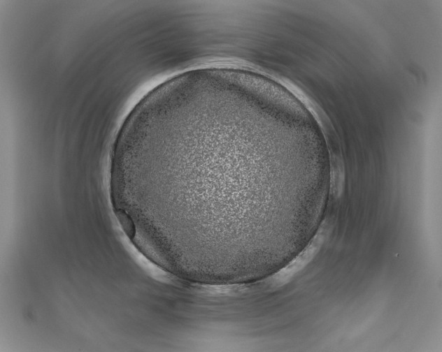 X0000111841438200908061244