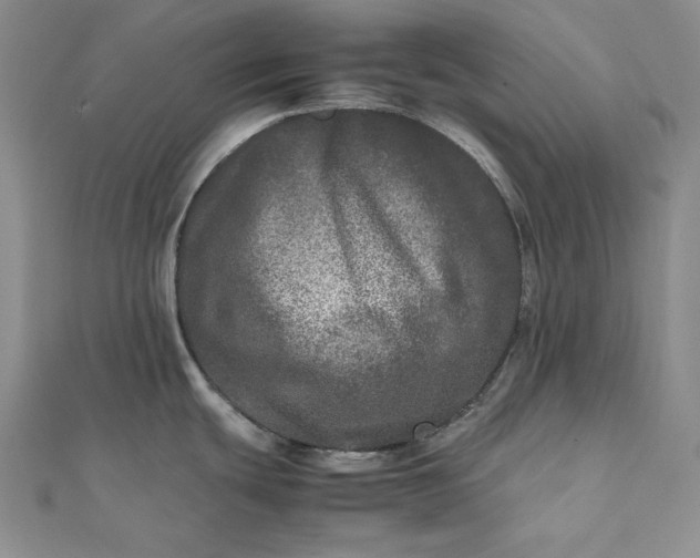 X0000111841439200908061244