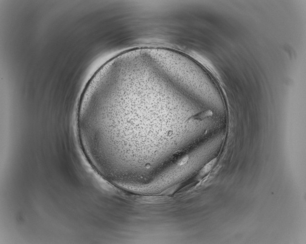 X0000111841440200908061244