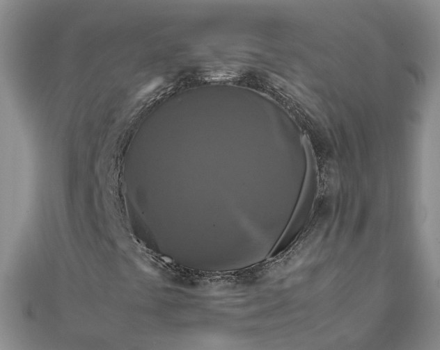 X0000111841441200908061243