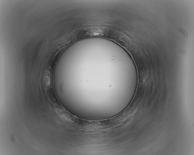 X0000111841442200908061243