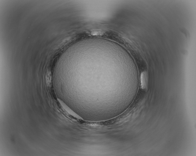 X0000111841443200908061243