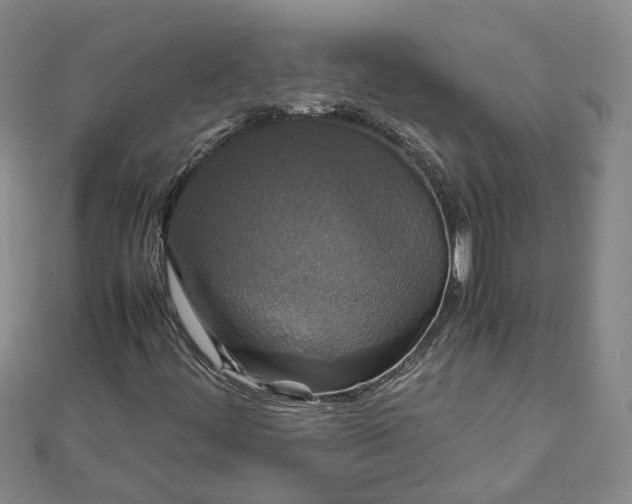 X0000111841444200908061243