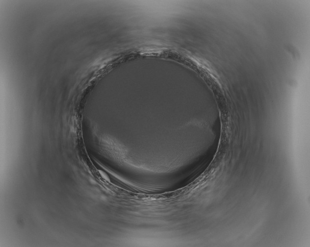 X0000111841445200908061243