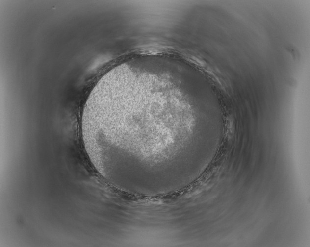 X0000111841446200908061243