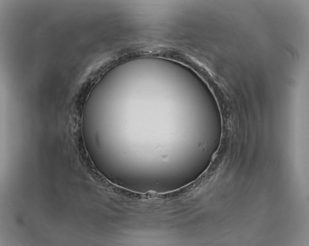 X0000111841447200908061243