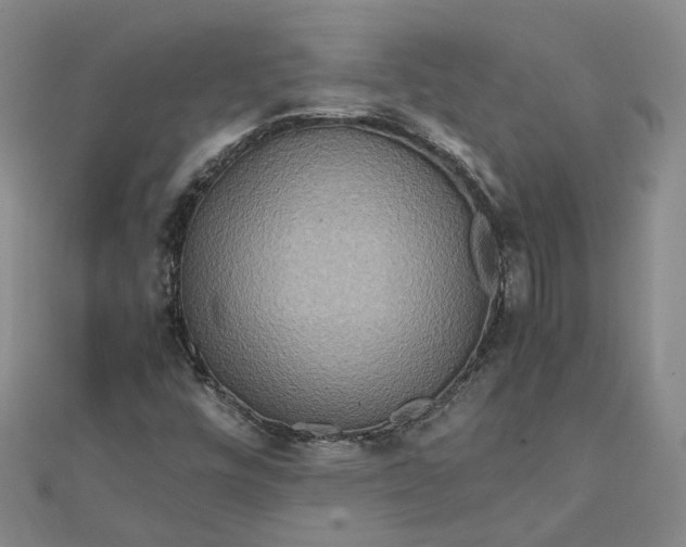 X0000111841448200908061243