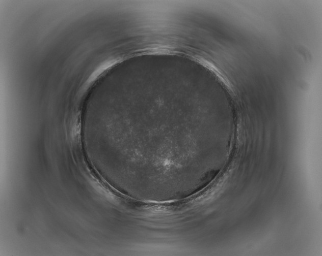 X0000111841450200908061243