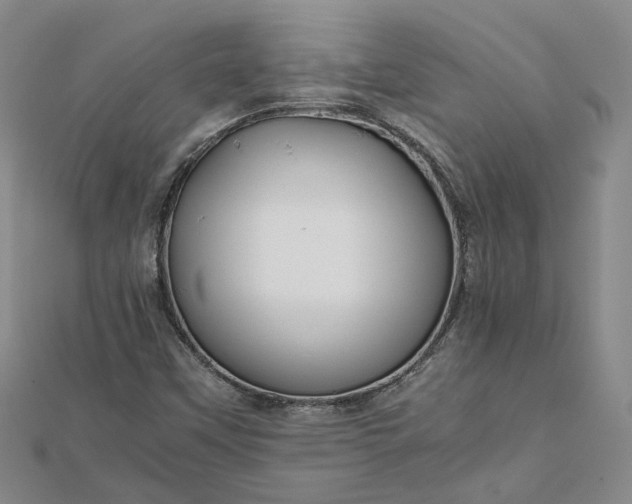 X0000111841451200908061243