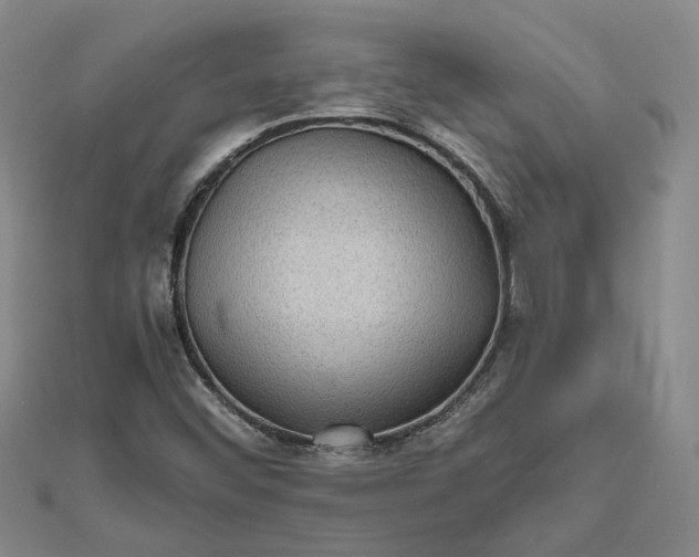 X0000111841452200908061243