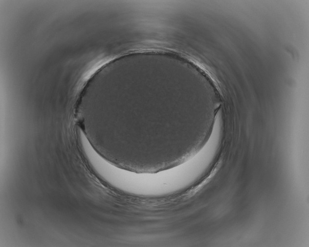 X0000111841453200908061243