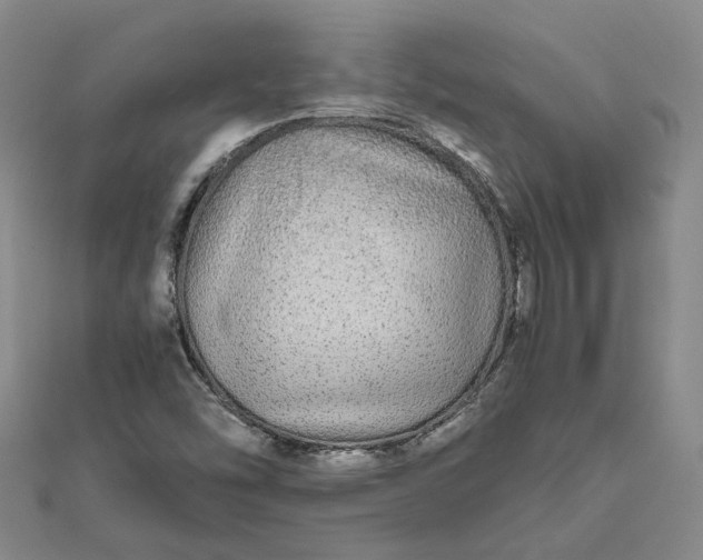 X0000111841454200908061243