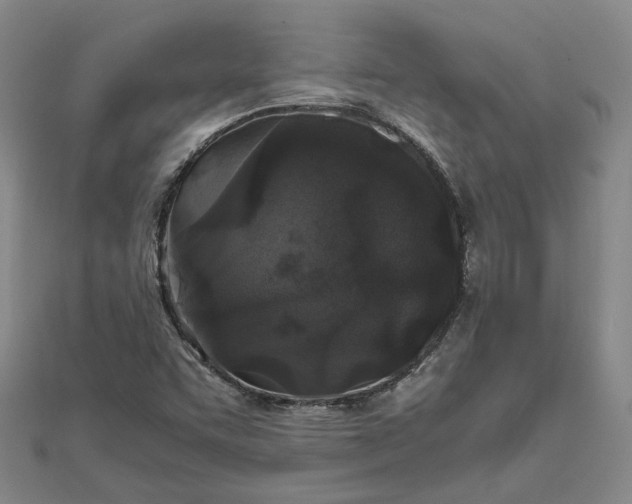 X0000111841455200908061243