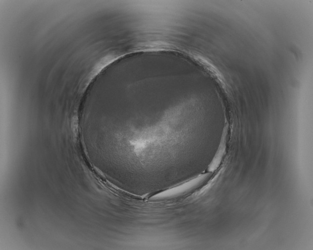 X0000111841457200908061243