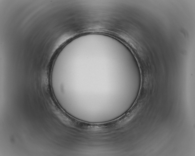 X0000111841458200908061243