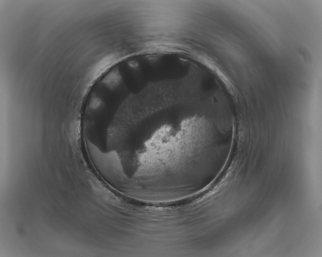 X0000111841459200908061243