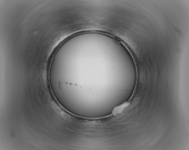 X0000111841460200908061243