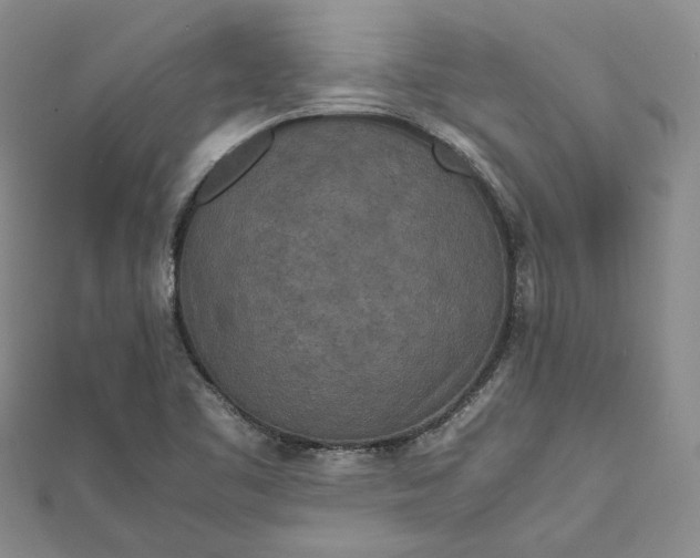 X0000111841461200908061243