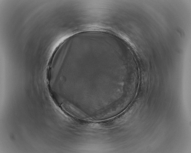 X0000111841463200908061243