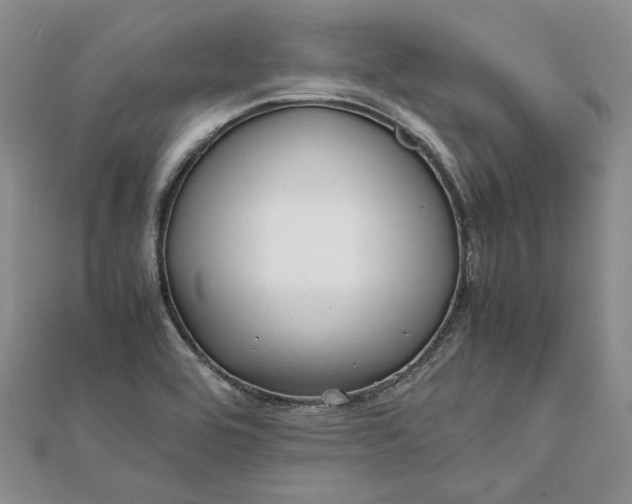 X0000111841464200908061243