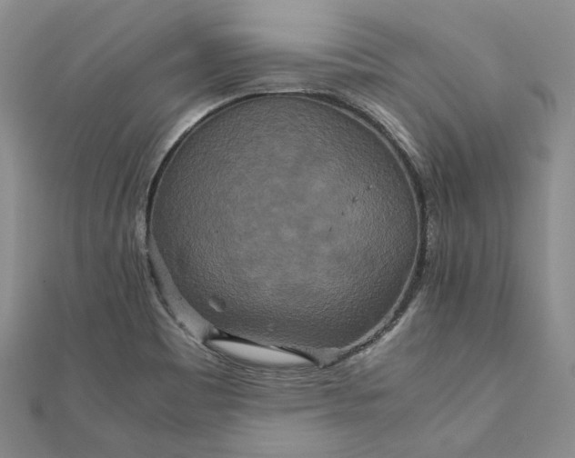 X0000111841465200908061243