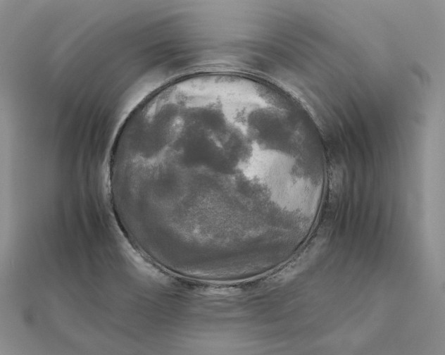 X0000111841466200908061243