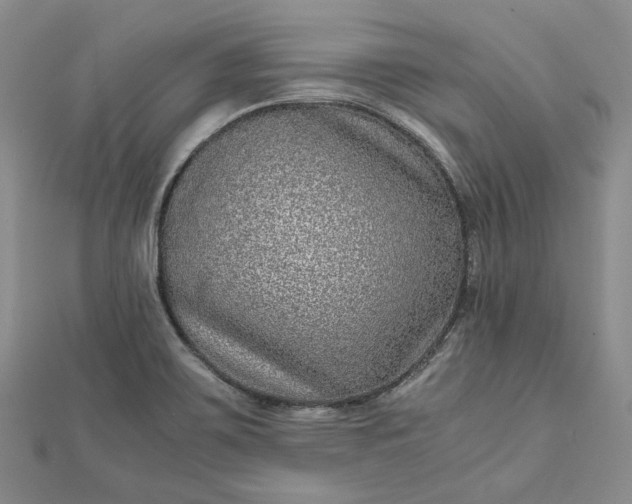 X0000111841467200908061243