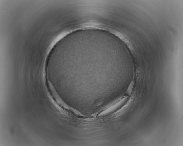 X0000111841469200908061243