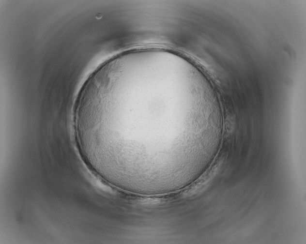 X0000111841470200908061243