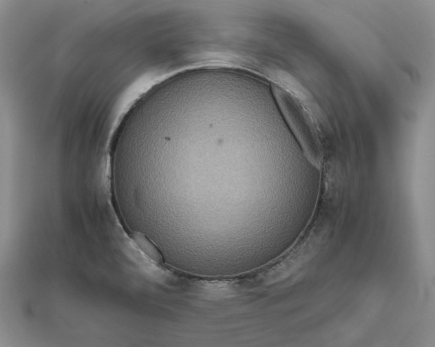 X0000111841472200908061243