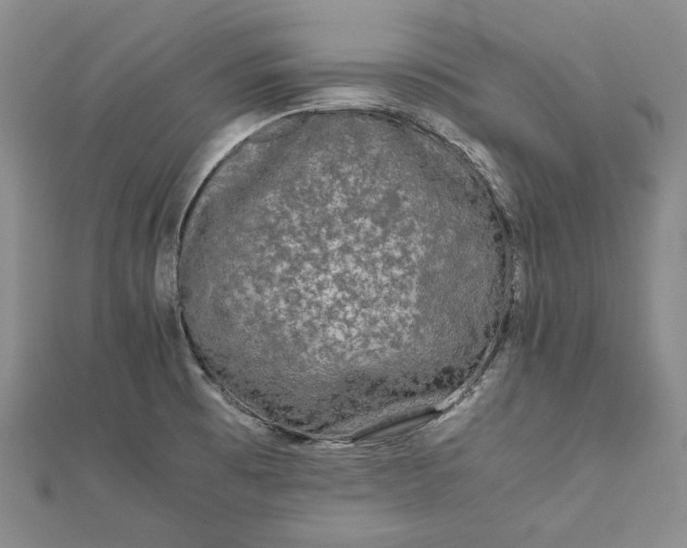 X0000111841473200908061243